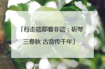 行走赣鄱看非遗：斫琴三春秋 古音传千年