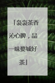 袅袅茶香沁心脾，品一味婺城好茶