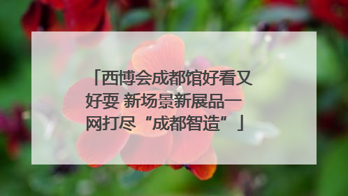 西博会成都馆好看又好耍 新场景新展品一网打尽“成都智造”