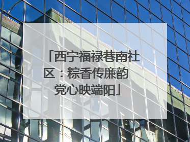 西宁福禄巷南社区：粽香传廉韵 党心映端阳