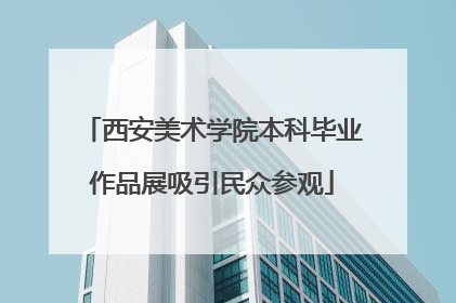 西安美术学院本科毕业作品展吸引民众参观