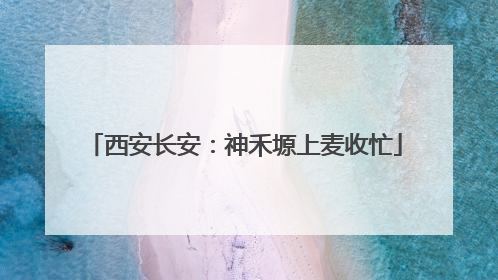 西安长安：神禾塬上麦收忙