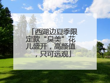 西湖边夏季限定款“臭美”花儿盛开，高颜值，只可远观