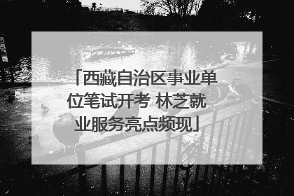 西藏自治区事业单位笔试开考 林芝就业服务亮点频现