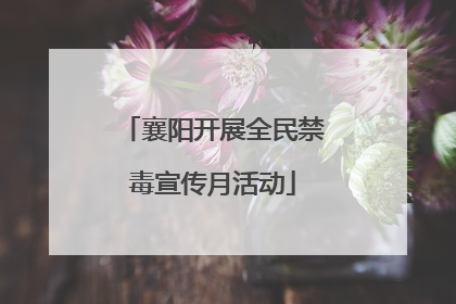 襄阳开展全民禁毒宣传月活动