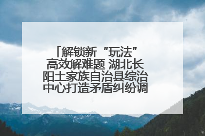 解锁新“玩法” 高效解难题 湖北长阳土家族自治县综治中心打造矛盾纠纷调处“终点站”