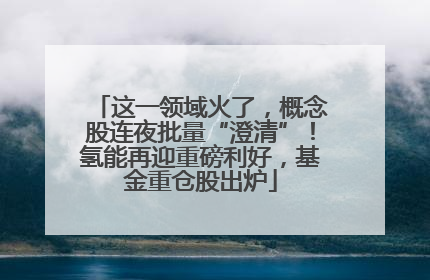 这一领域火了，概念股连夜批量“澄清”！氢能再迎重磅利好，基金重仓股出炉