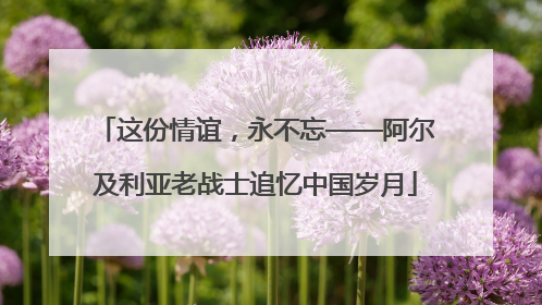 这份情谊，永不忘——阿尔及利亚老战士追忆中国岁月