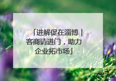 进解促在淄博｜客商请进门，助力企业拓市场