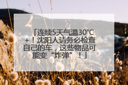连续5天气温30℃+！沈阳人请务必检查自己的车，这些物品可能变“炸弹”！