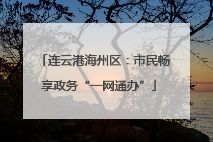 连云港海州区：市民畅享政务“一网通办”