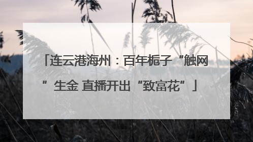 连云港海州：百年栀子“触网”生金 直播开出“致富花”