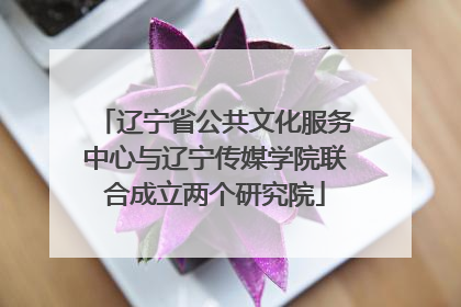辽宁省公共文化服务中心与辽宁传媒学院联合成立两个研究院