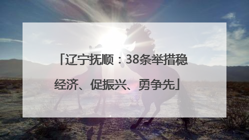 辽宁抚顺：38条举措稳经济、促振兴、勇争先