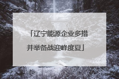 辽宁能源企业多措并举备战迎峰度夏