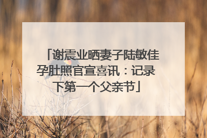 谢震业晒妻子陆敏佳孕肚照官宣喜讯：记录下第一个父亲节