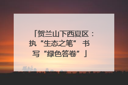 贺兰山下西夏区：执“生态之笔” 书写“绿色答卷”