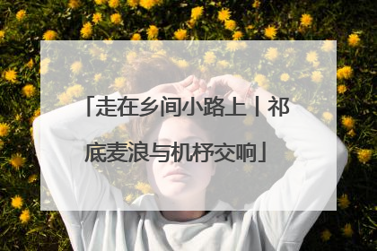 走在乡间小路上丨祁底麦浪与机杼交响