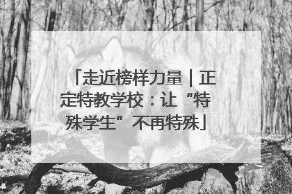 走近榜样力量｜正定特教学校：让“特殊学生”不再特殊