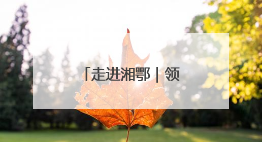 走进湘鄂｜领略中医智慧，传承医道薪火