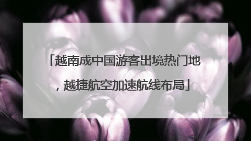越南成中国游客出境热门地，越捷航空加速航线布局