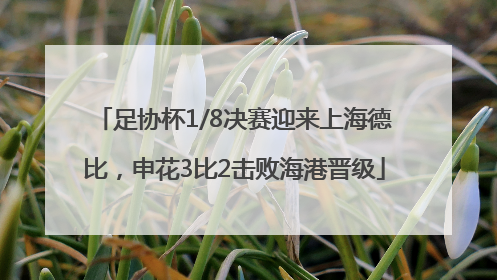足协杯1/8决赛迎来上海德比，申花3比2击败海港晋级