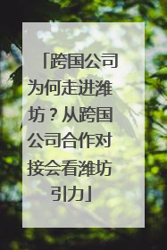 跨国公司为何走进潍坊？从跨国公司合作对接会看潍坊引力