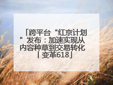 跨平台“红京计划”发布：加速实现从内容种草到交易转化丨变革618