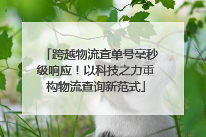 跨越物流查单号毫秒级响应！以科技之力重构物流查询新范式