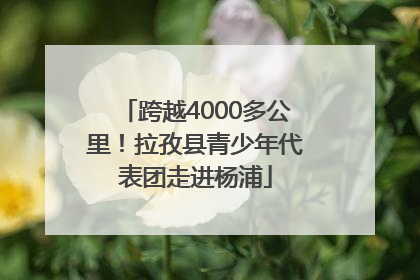 跨越4000多公里！拉孜县青少年代表团走进杨浦
