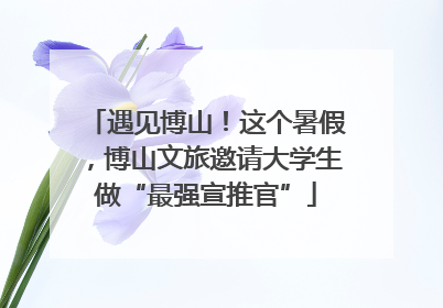 遇见博山！这个暑假，博山文旅邀请大学生做“最强宣推官”