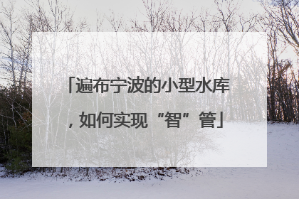 遍布宁波的小型水库，如何实现“智”管