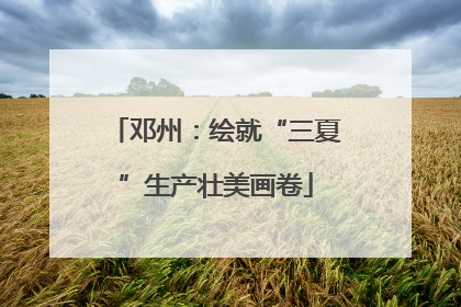 邓州：绘就“三夏”生产壮美画卷