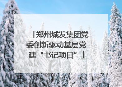郑州城发集团党委创新驱动基层党建“书记项目”