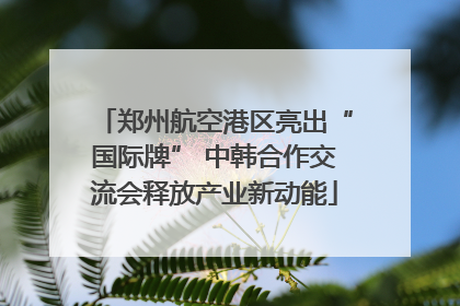 郑州航空港区亮出“国际牌” 中韩合作交流会释放产业新动能