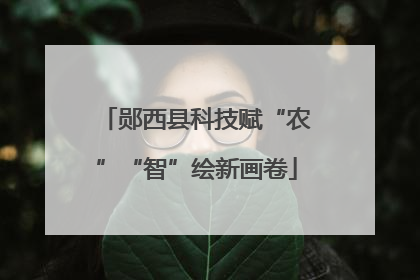 郧西县科技赋“农”“智”绘新画卷
