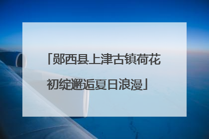 郧西县上津古镇荷花初绽邂逅夏日浪漫