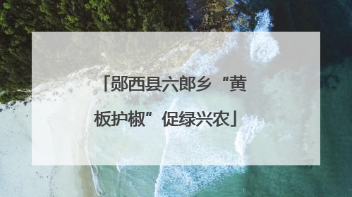 郧西县六郎乡“黄板护椒”促绿兴农