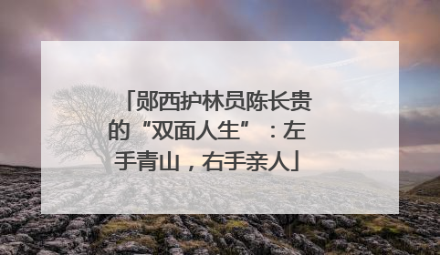 郧西护林员陈长贵的“双面人生”：左手青山，右手亲人