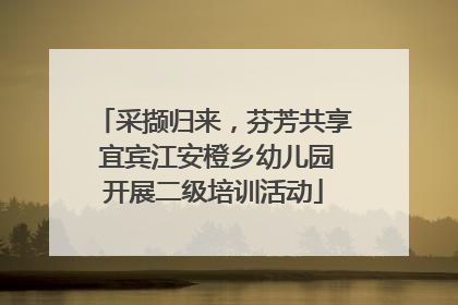 采撷归来，芬芳共享 宜宾江安橙乡幼儿园开展二级培训活动