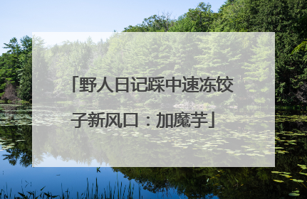 野人日记踩中速冻饺子新风口：加魔芋