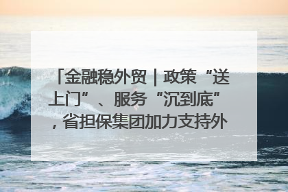 金融稳外贸｜政策“送上门”、服务“沉到底”，省担保集团加力支持外经贸高质量发展