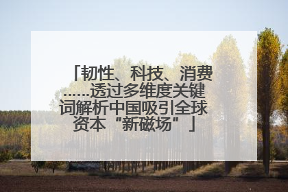 韧性、科技、消费……透过多维度关键词解析中国吸引全球资本“新磁场”