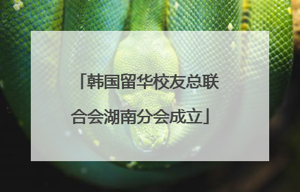 韩国留华校友总联合会湖南分会成立