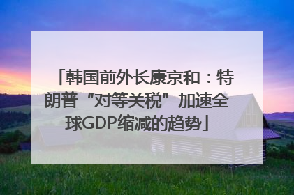 韩国前外长康京和：特朗普“对等关税”加速全球GDP缩减的趋势