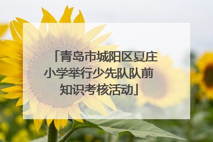 青岛市城阳区夏庄小学举行少先队队前知识考核活动
