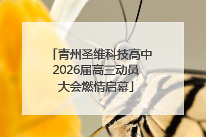 青州圣维科技高中2026届高三动员大会燃情启幕