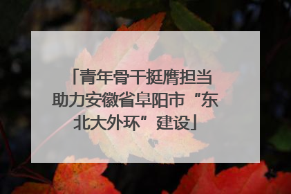 青年骨干挺膺担当 助力安徽省阜阳市“东北大外环”建设