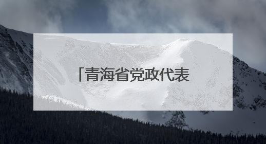 青海省党政代表团来山东考察