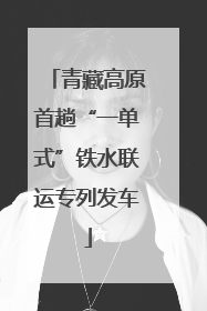青藏高原首趟“一单式”铁水联运专列发车